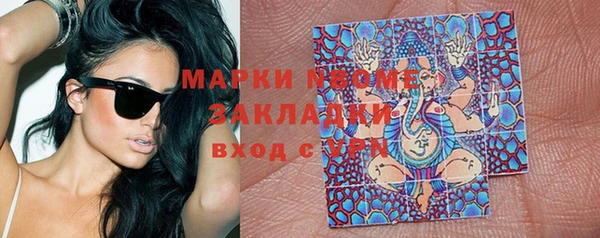 гидра Арсеньев