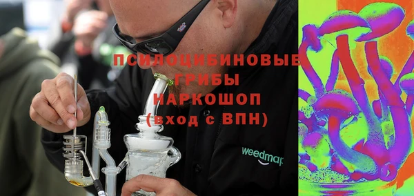 гидра Арсеньев