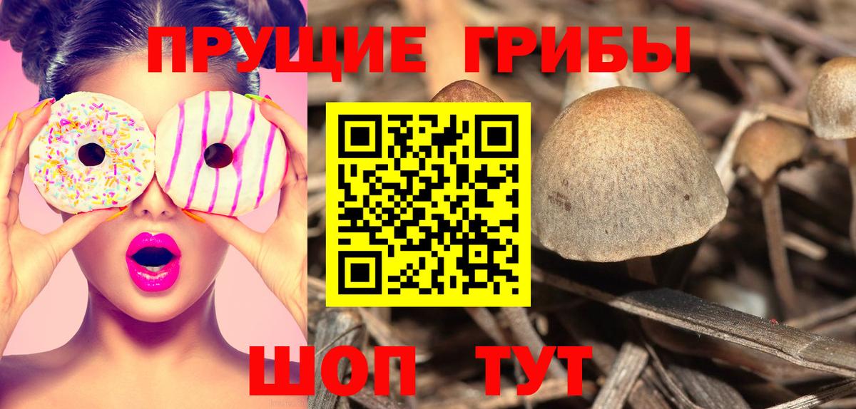Заречный  Галлюциногенные грибы Cubensis  Вход с VPN  Псилоцибиновые грибы Psilocybe 